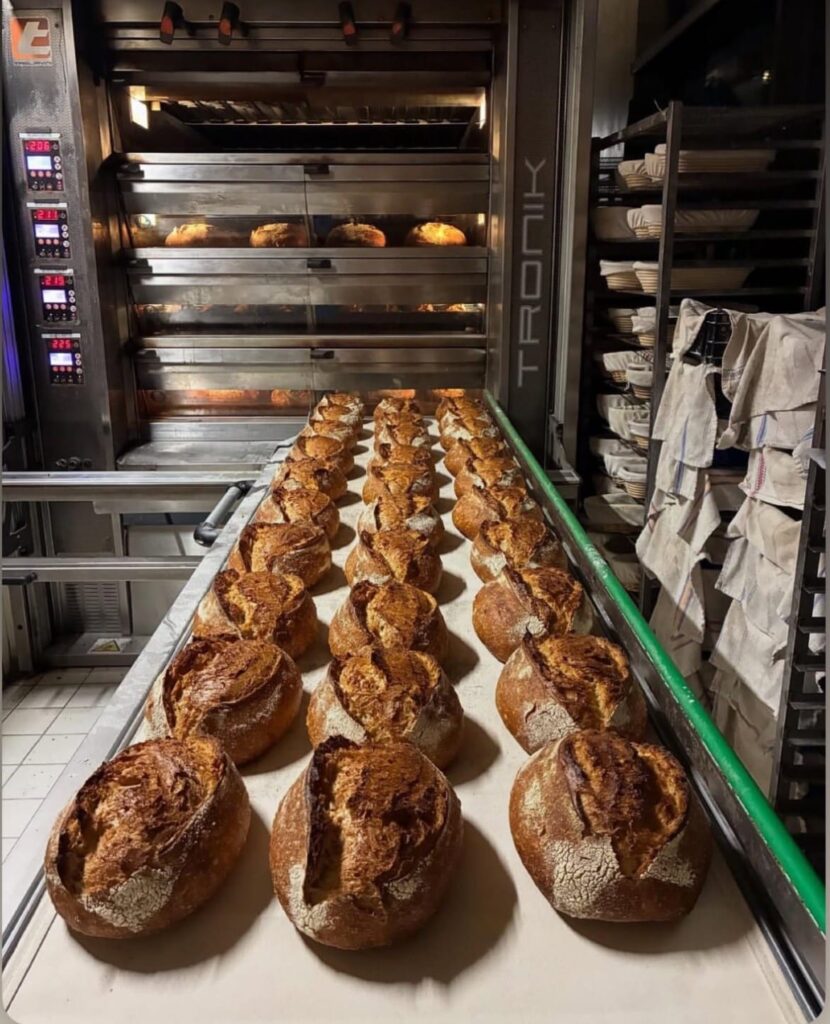 Boulangerie: rangées de pains artisanaux dorés sortant d'un four TRONIK affichant 206-225°C. Paniers à levée visibles.
